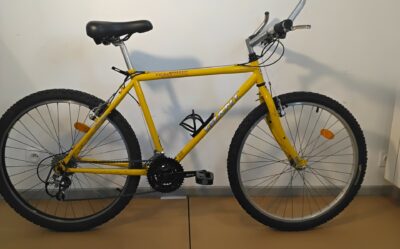 Giant jaune