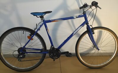 Decathlon bleu